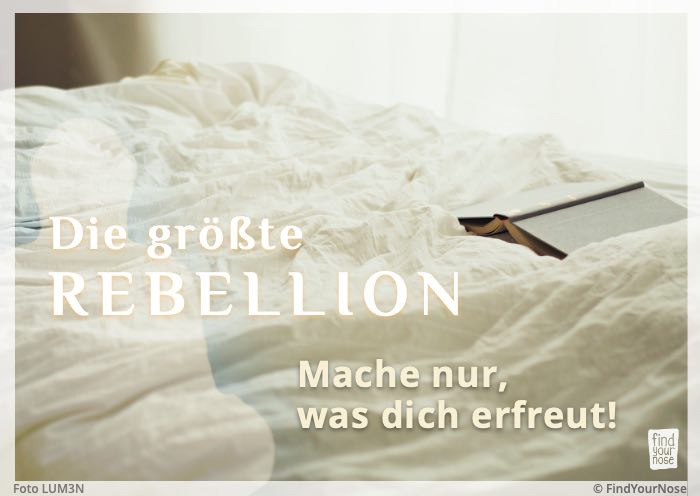 Die größte Rebellion: Mache nur, was dich erfreut