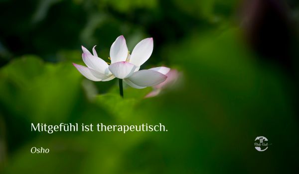 Mitgefühl ist therapeutisch